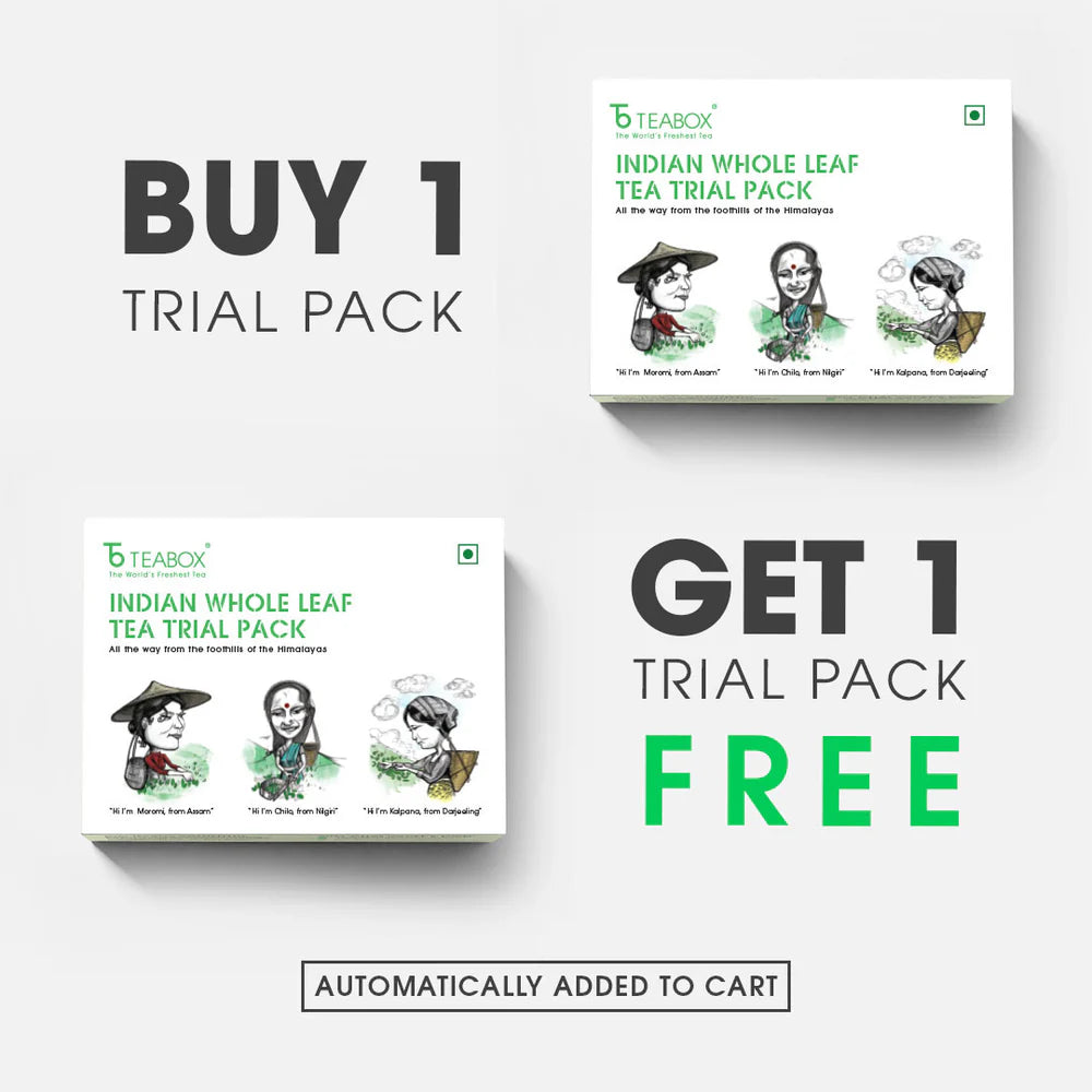 Indian Whole Leaf Tea Trial Pack - Buy 12 Teas & Get 12 Teas Free (2 Boxes)