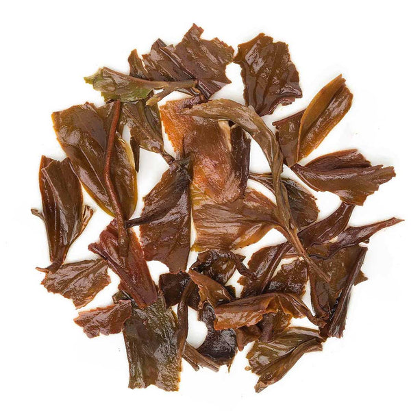 Darjeeling Jungpana Autumn Chinary Black