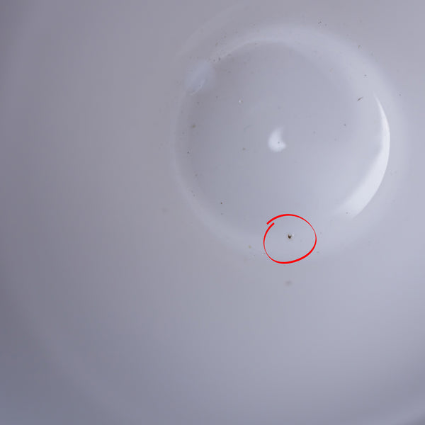 Arctic Mug