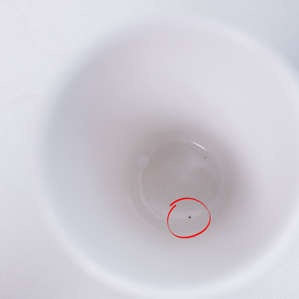 Arctic Mug