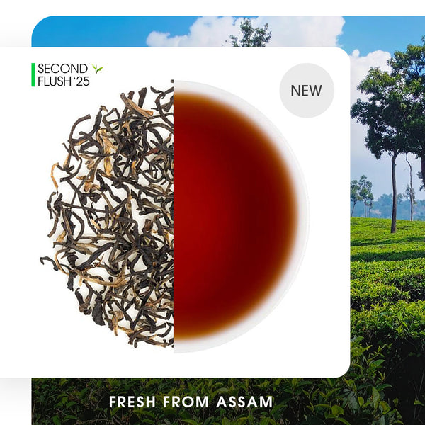 Assam Chota Tingrai Summer Black