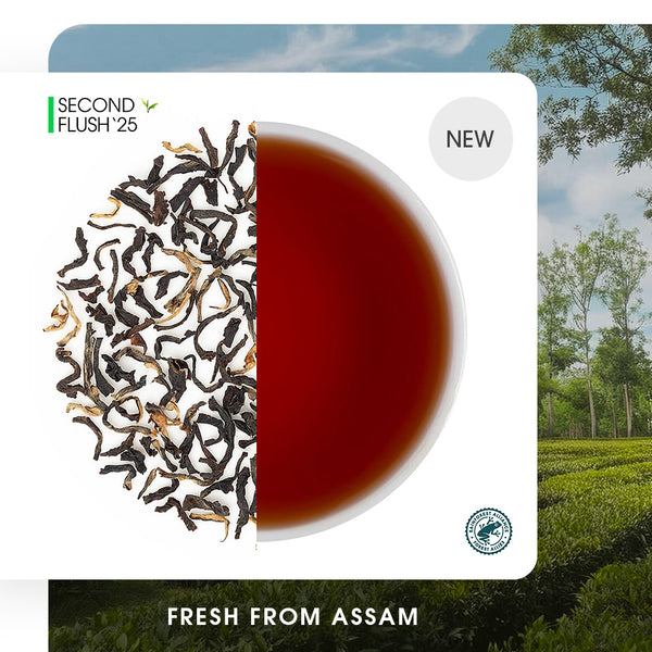 Assam Dejoo Summer Black