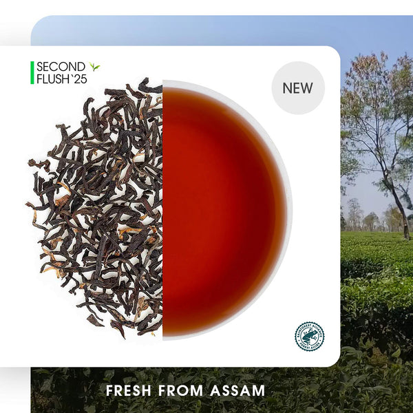 Assam Dikom Summer Black