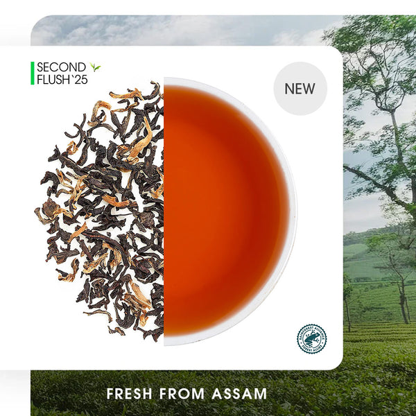 Assam Doomni Gold Summer Black