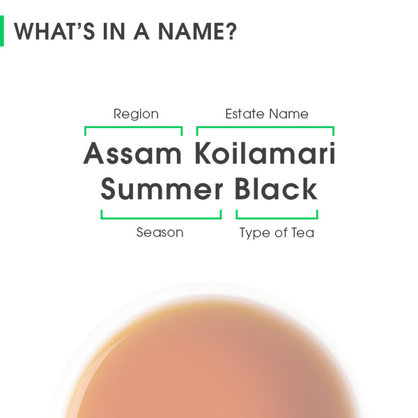 Assam Koilamari Summer Black