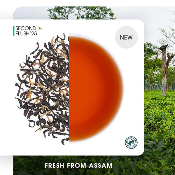 Assam Mangalam Gold Summer Black