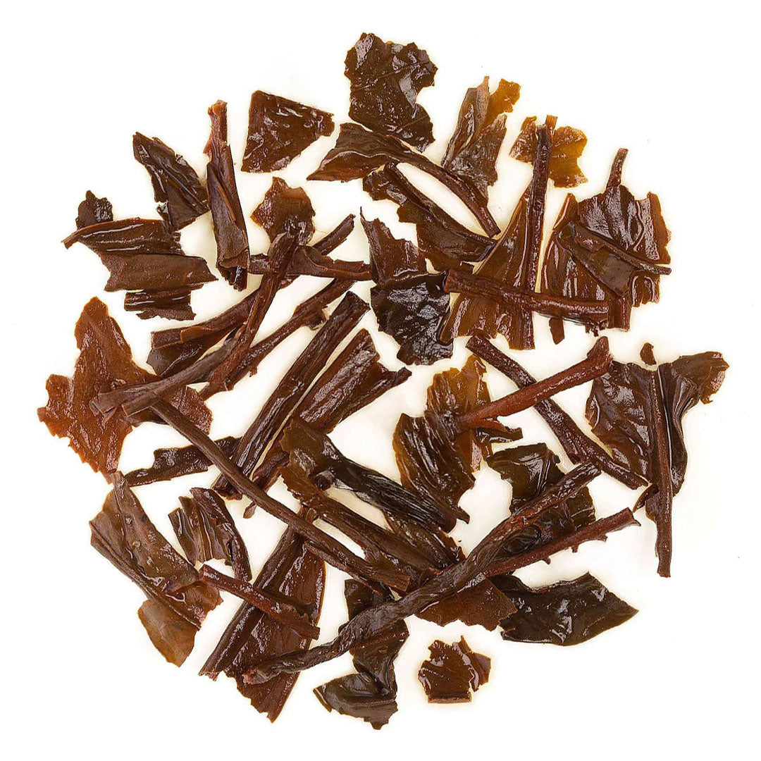 Assam Dinjoye Spring Black