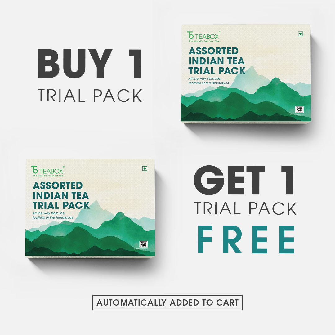 Assorted Indian Tea Trial Pack - Buy 10 Teas & Get 10 Teas Free (2 Boxes)