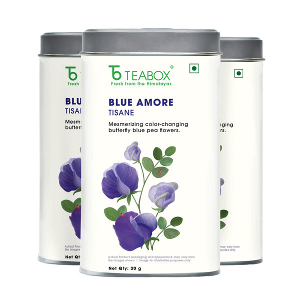 Butterfly Blue Pea Flower (Blue Amore)