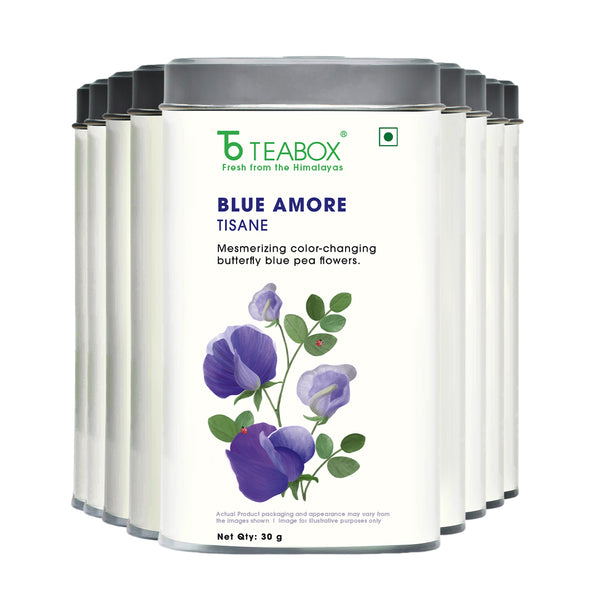 Butterfly Blue Pea Flower (Blue Amore)