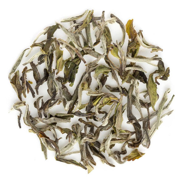 Darjeeling Avongrove Spring Clonal Flowery Black (Signature Series)