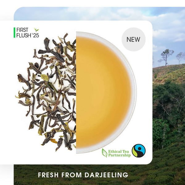 Darjeeling Badamtam Spring Clonal Black