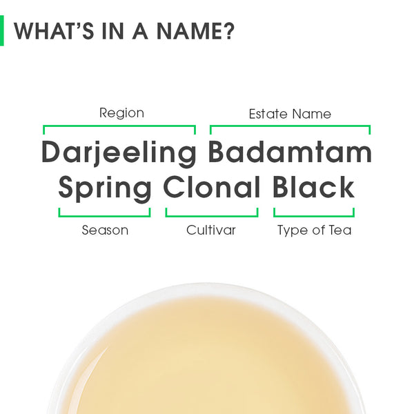 Darjeeling Badamtam Spring Clonal Black