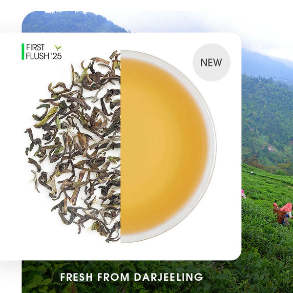 Darjeeling Goomtee Spring Chinary Black