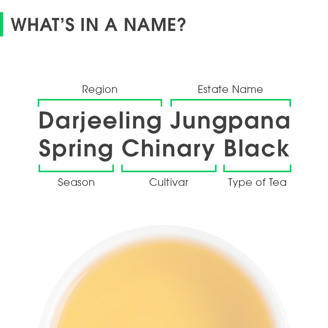 Darjeeling Jungpana Spring Chinary Black