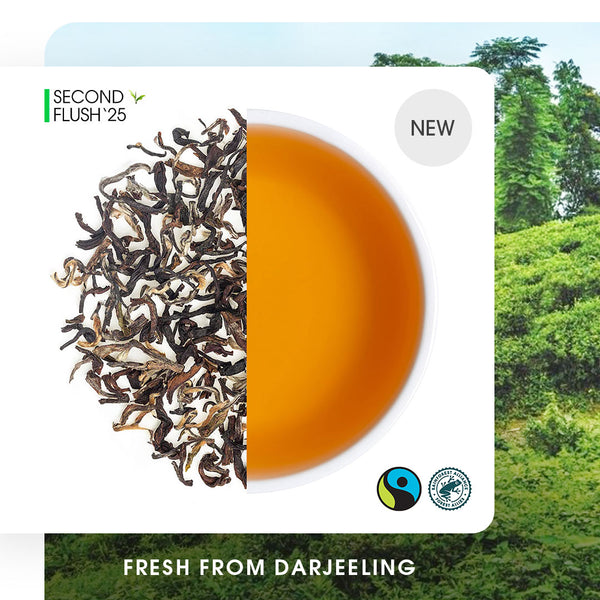 Darjeeling Makaibari Summer Clonal Black