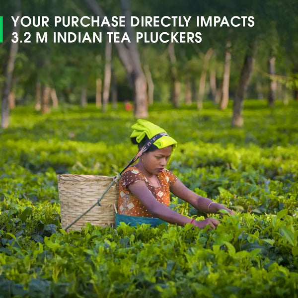 Darjeeling Makaibari Summer Clonal Black