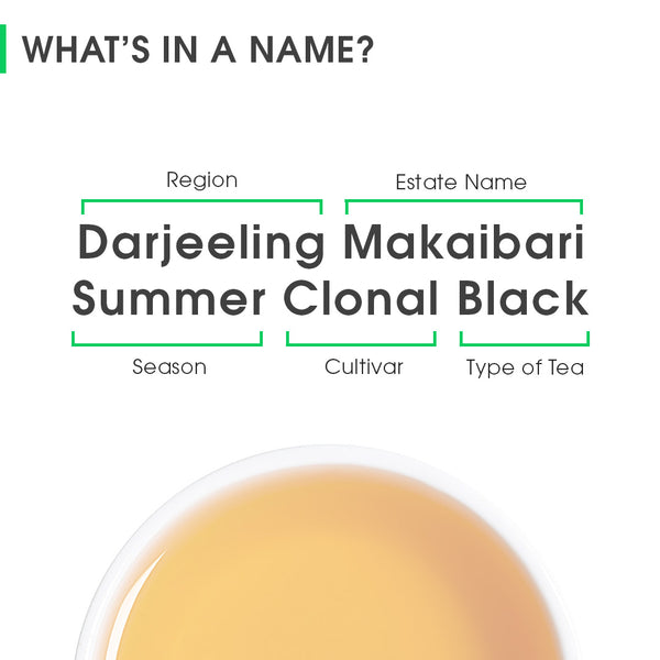 Darjeeling Makaibari Summer Clonal Black