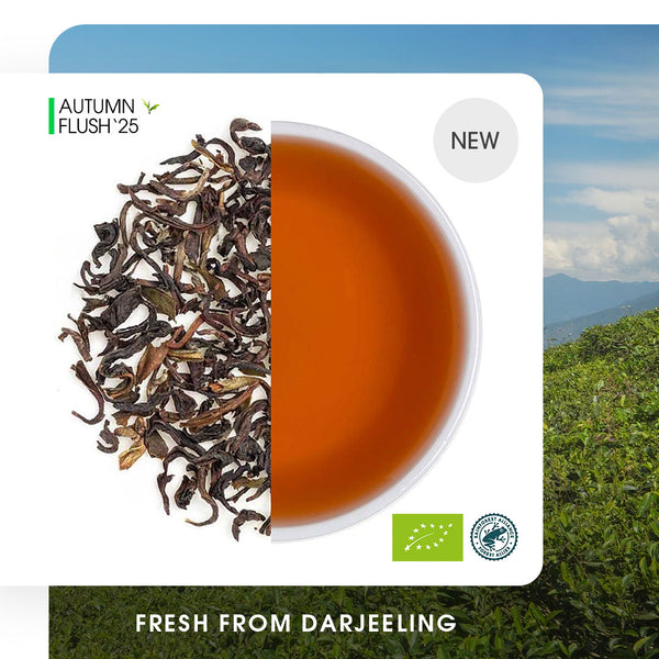Darjeeling Okayti Autumn Chinary Black