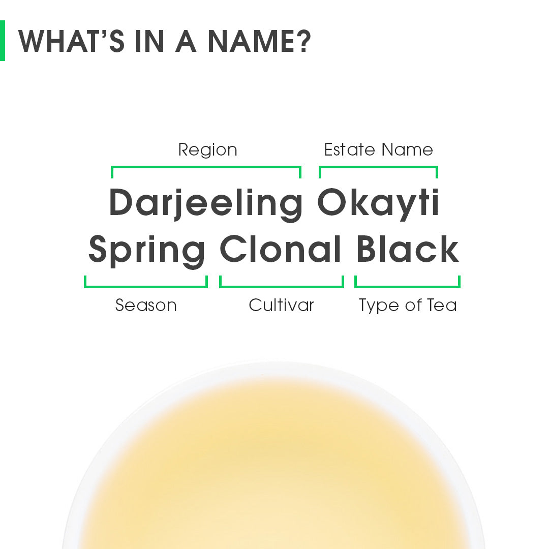 Darjeeling Okayti Spring Clonal Black