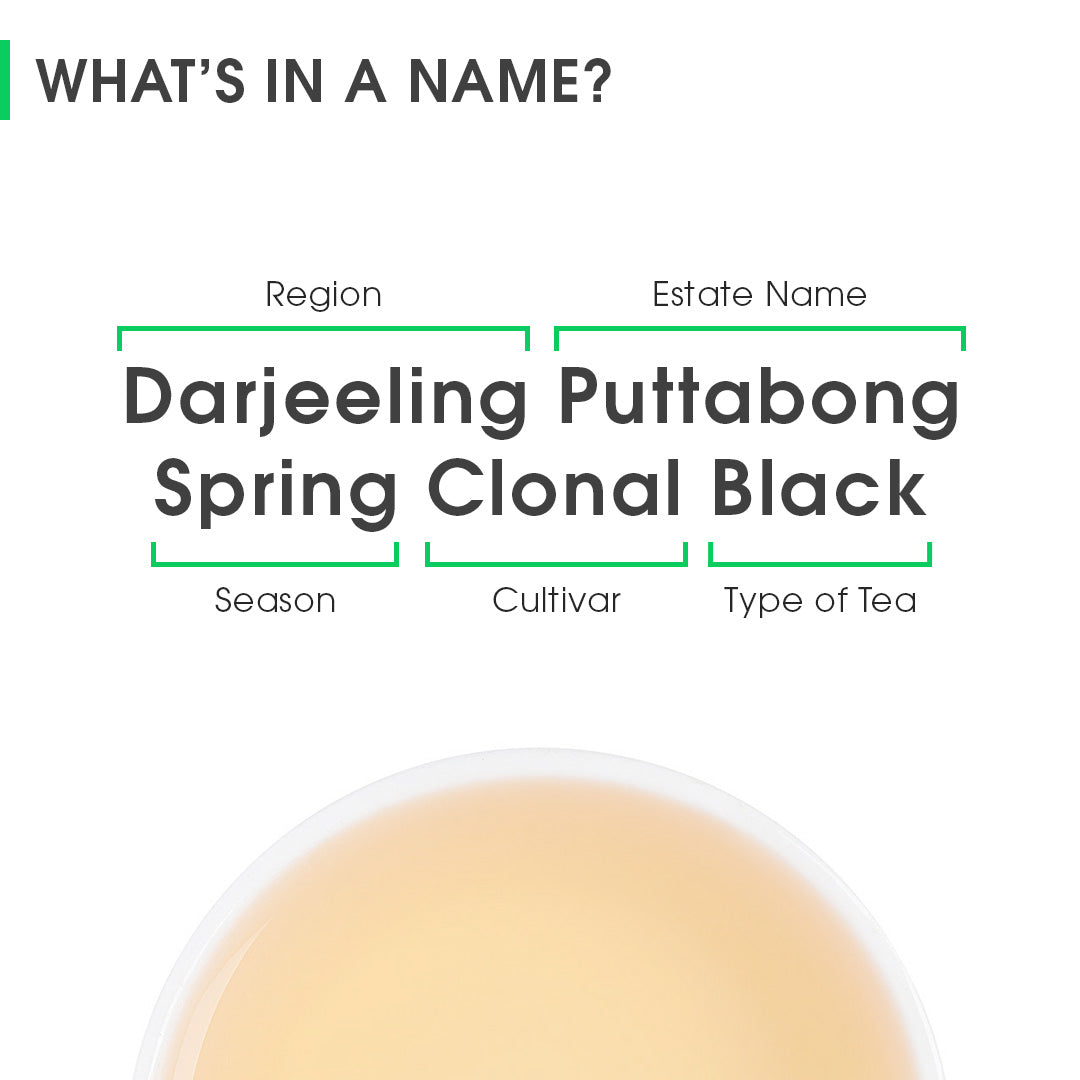 Darjeeling Puttabong Spring Clonal Black