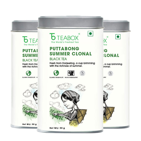 Darjeeling Puttabong Summer Clonal Black