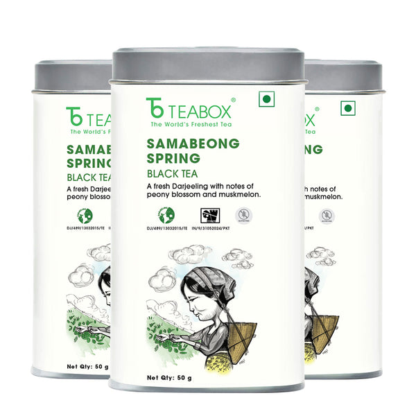 Darjeeling Samabeong Spring Black