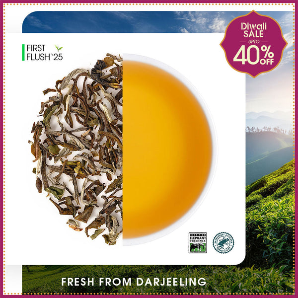 Darjeeling Snowview Spring Clonal Black