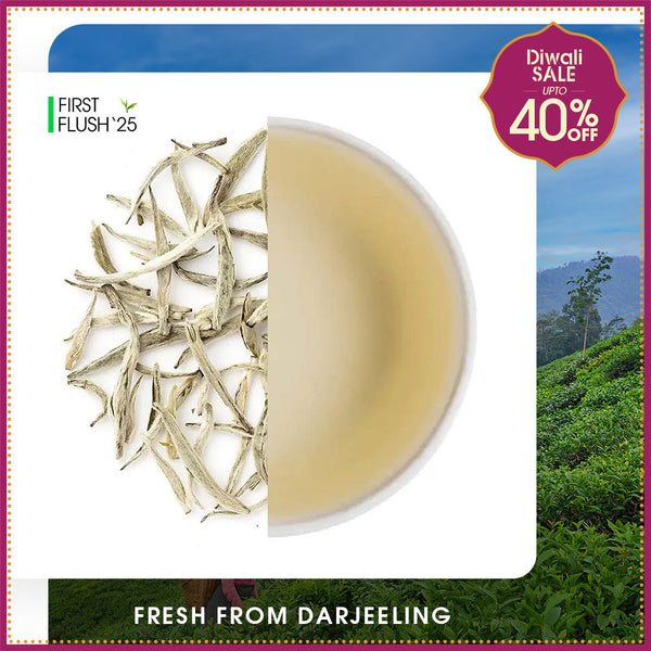 Darjeeling Special Spring Silver Needle White