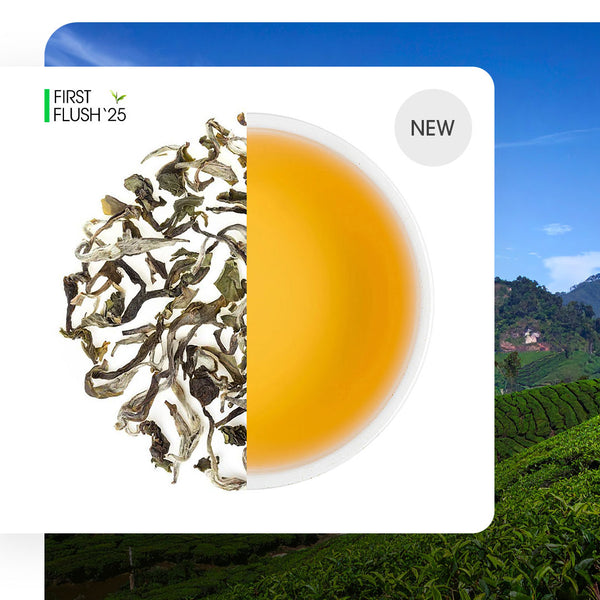 Darjeeling Special Spring White