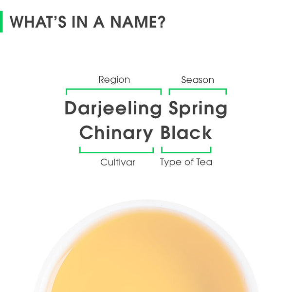 Darjeeling Spring Chinary Black