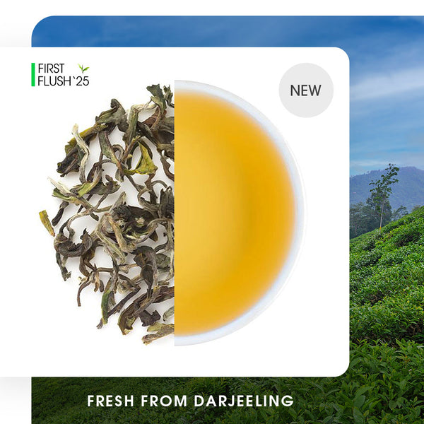 Darjeeling Spring Clonal Black