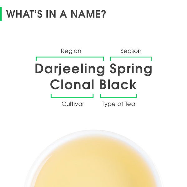 Darjeeling Spring Clonal Black