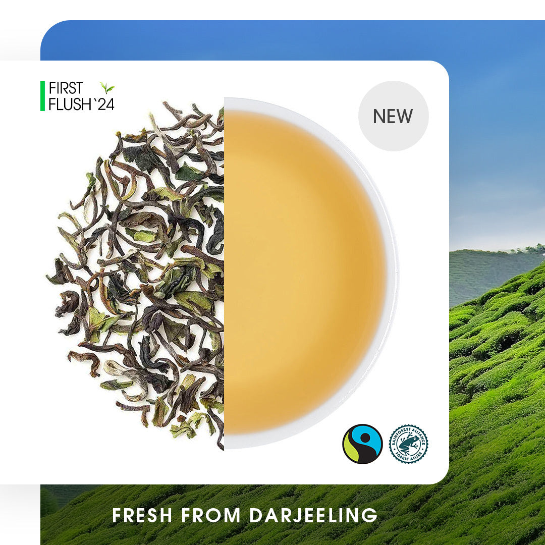 Darjeeling Sungma Spring Chinary Black