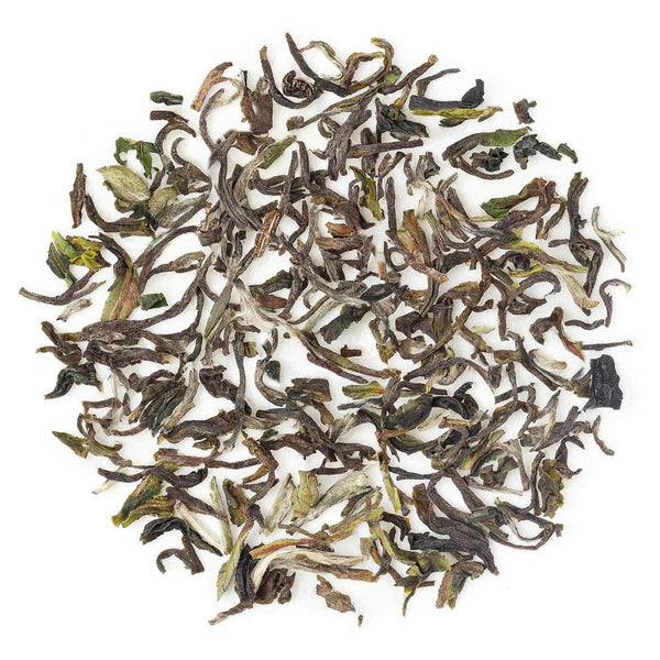 Darjeeling Thurbo Spring Chinary Black