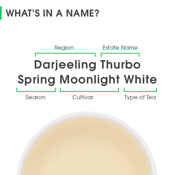 Darjeeling Thurbo Spring Moonlight White
