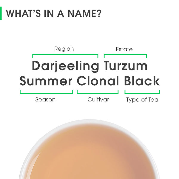 Darjeeling Turzum Summer Clonal Black
