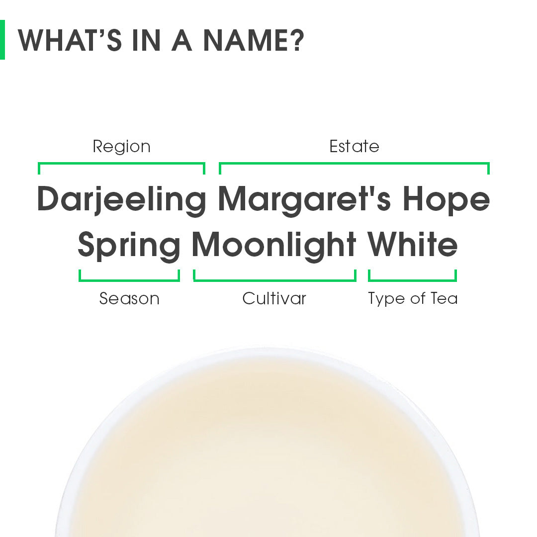 Darjeeling Margaret's Hope Spring Moonlight White