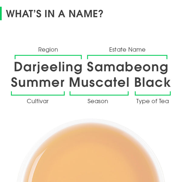Darjeeling Samabeong Summer Muscatel Black