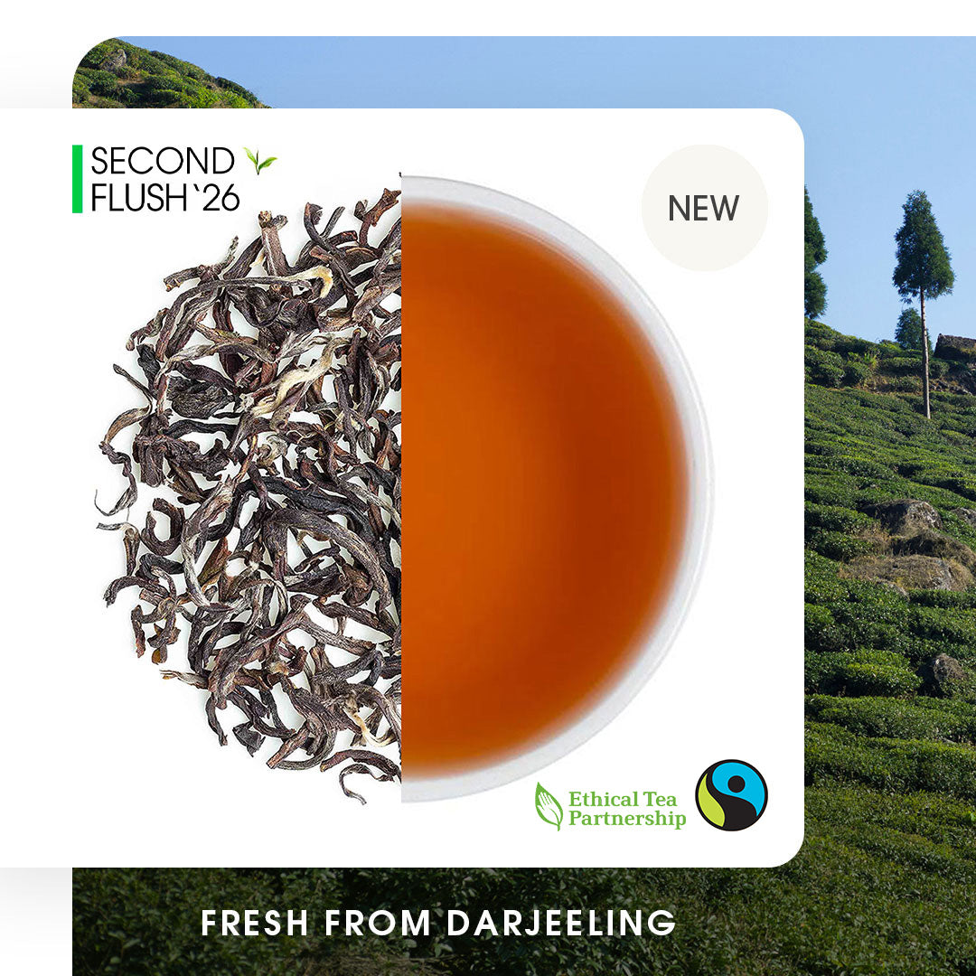 Darjeeling Seeyok Summer Muscatel Black