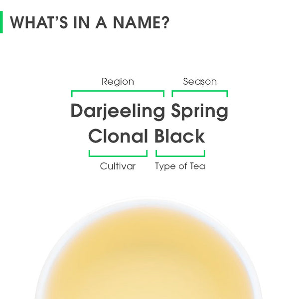 Darjeeling Spring Clonal Black