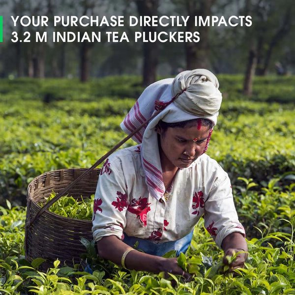 English Breakfast Black