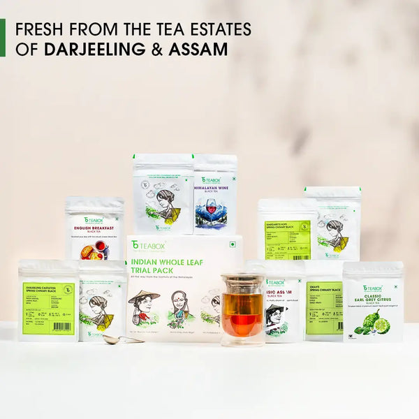 Darjeeling & Assam Whole Leaf Tea Trial Pack (Free Infuser Mug & Teaspoon)