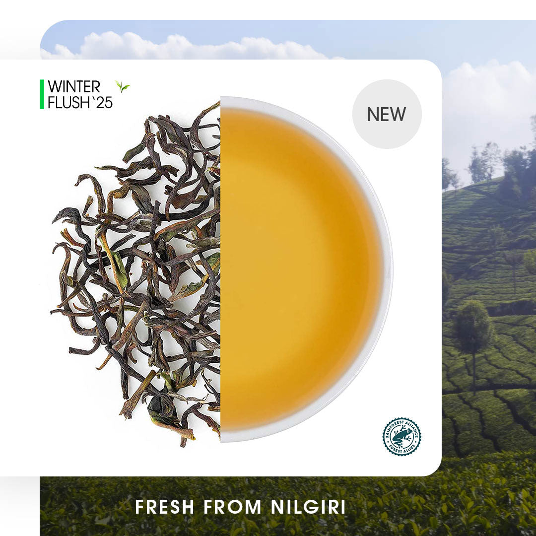 Nilgiri Billimalai Winter Frost Black