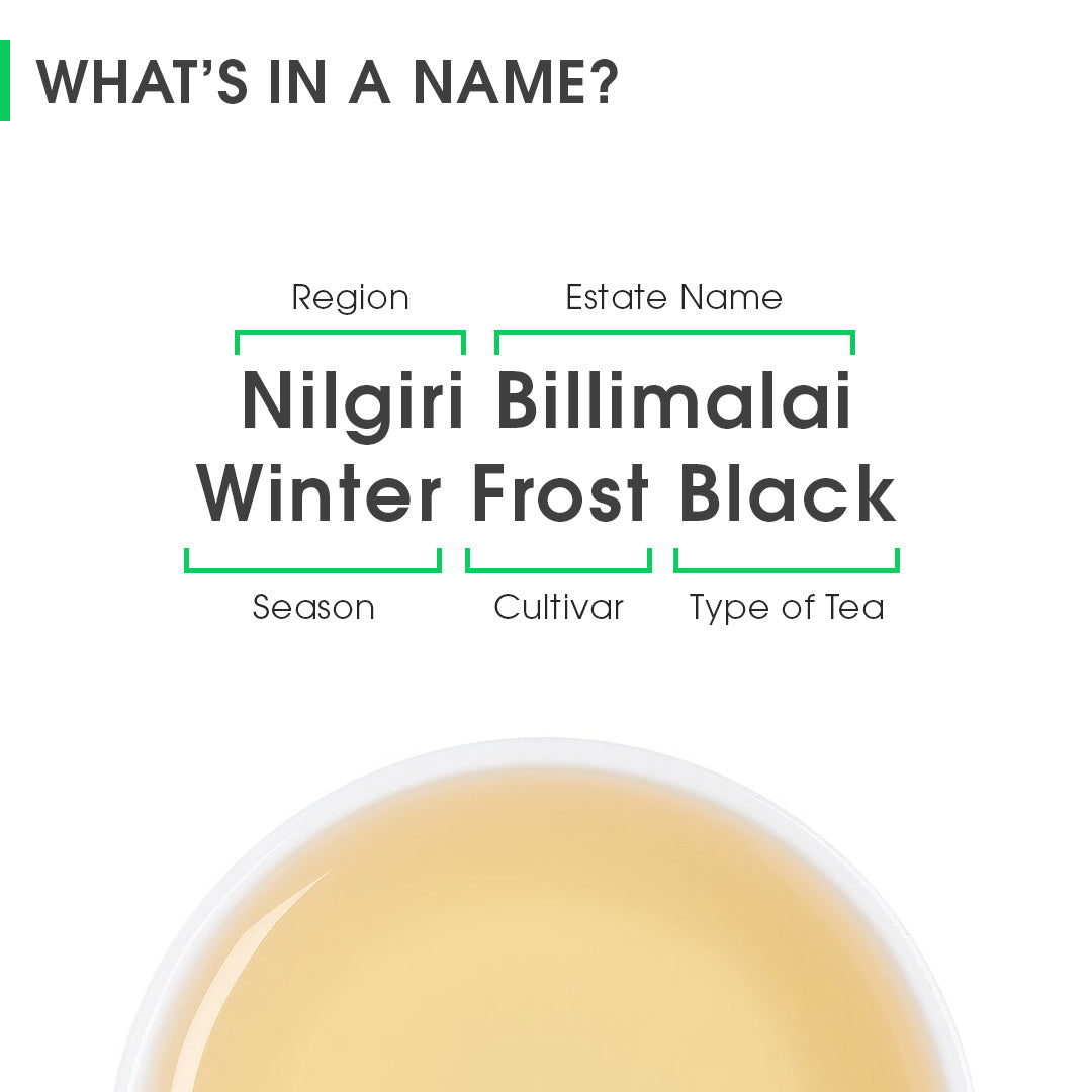 Nilgiri Billimalai Winter Frost Black