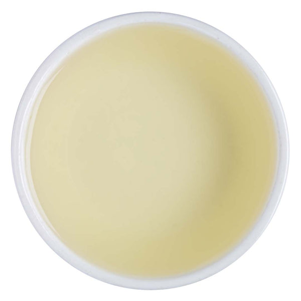 Nilgiri Glendale Autumn Twirl Green