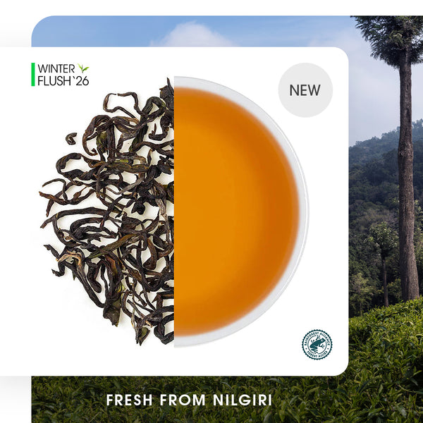 Nilgiri Glendale Winter Frost Twirl Black