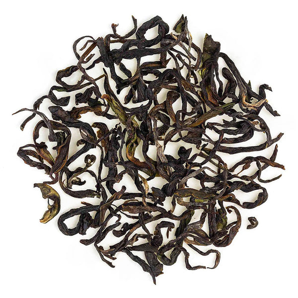 Nilgiri Glendale Winter Frost Twirl Black