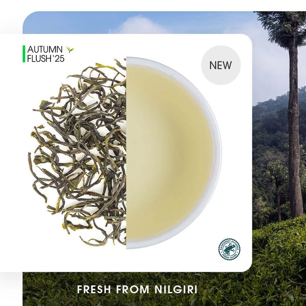 Nilgiri Glendale Autumn Twirl Green