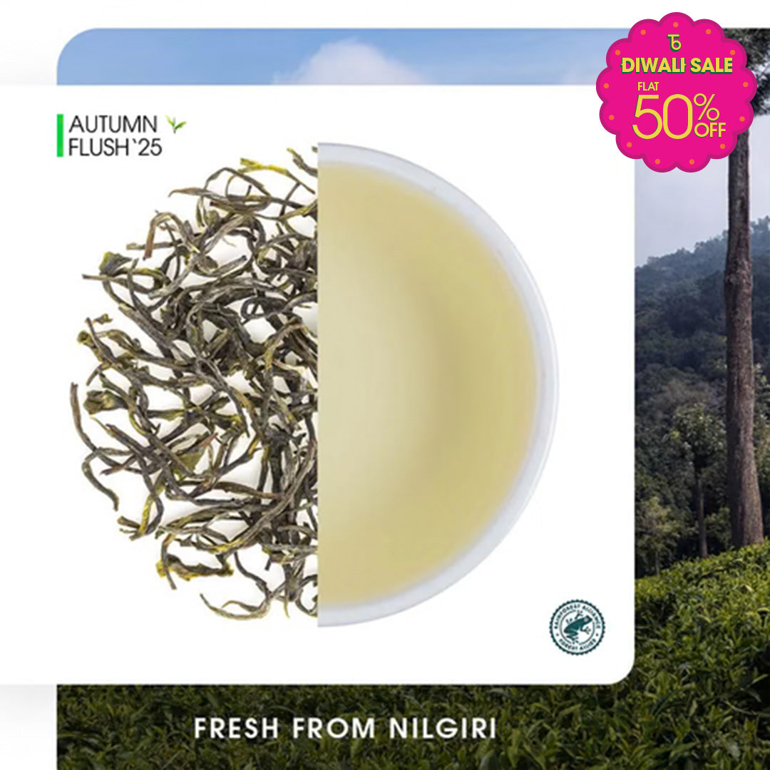 Nilgiri Glendale Autumn Twirl Green